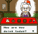 Animal Shop exterior in Harvest Moon GBC.