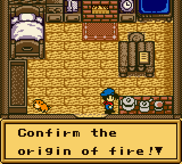 Fire check prompt in the player house in Harvest Moon GBC.