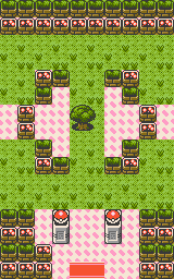 Azalea Gym interior map