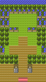 Celadon Gym map