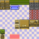 Mr. Pokemon house