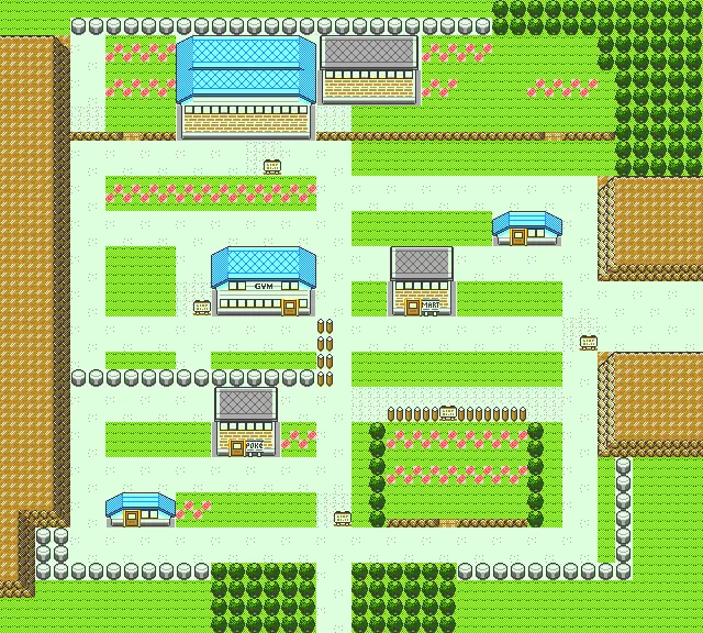 Pewter City map view