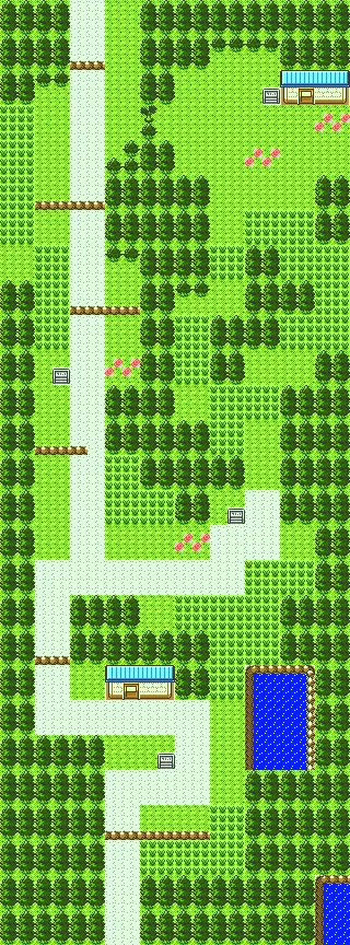 Route 30 overworld map view