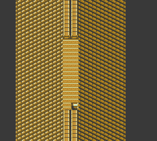 Tin Tower roof