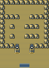 Pewter Gym map layout
