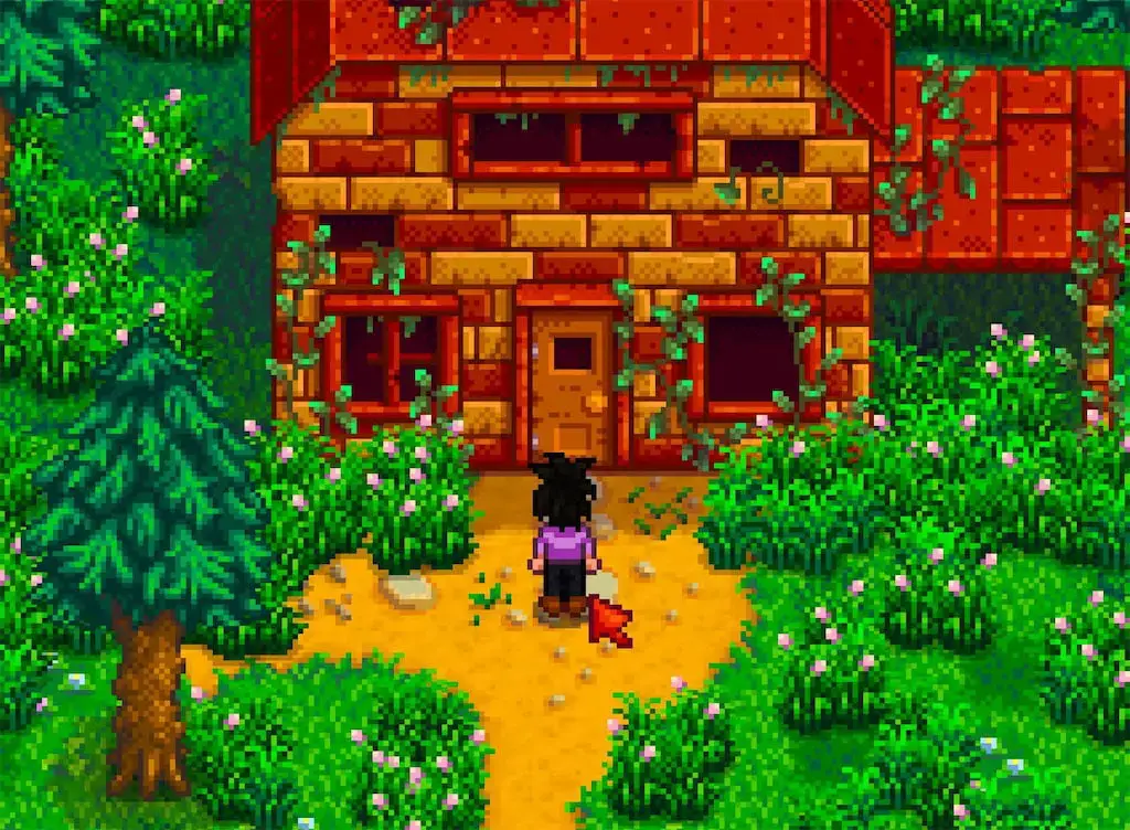 Aurora Vineyard