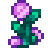 Fairy Rose Icon