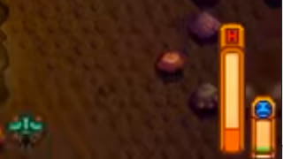 Health and Energy Bar