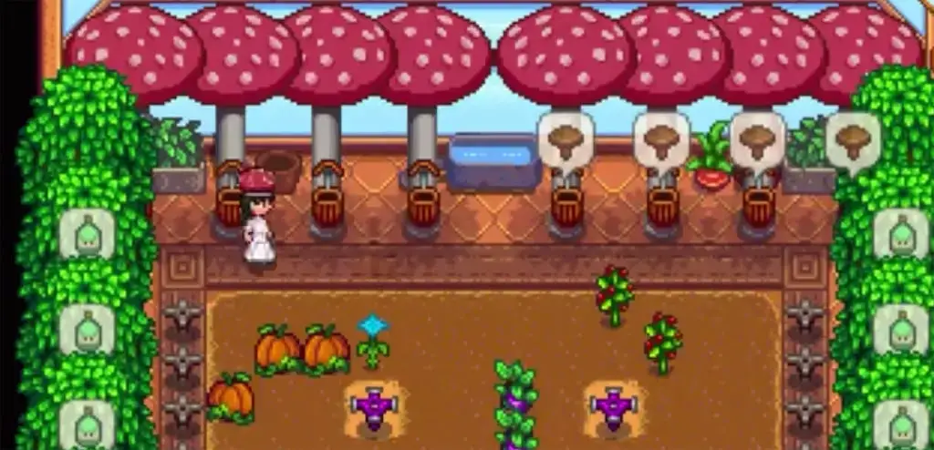 multiple Mushroom Trees