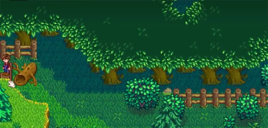 Image of Secret Woods in Stardew Valley
