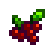 Cranberry