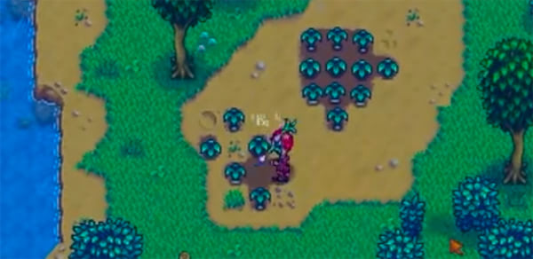 variety of foods available in Stardew Valley