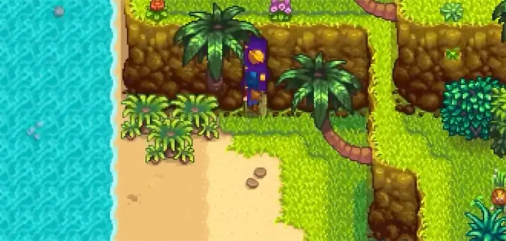 Image of Walnut Room in Stardew Valley