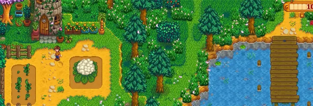 The exterior of the Wizard's Tower