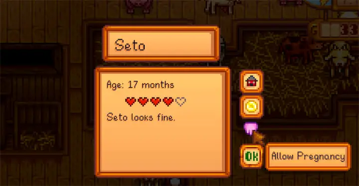 A screenshot of the animal pregnancy option in Stardew Valley