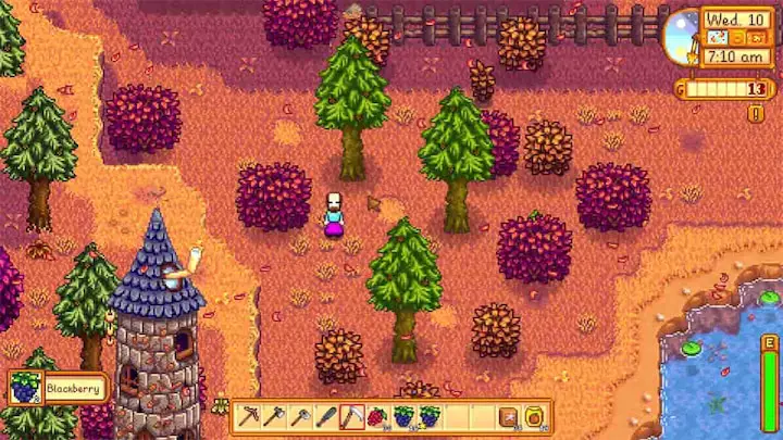 Blackberries are a wild berry that can be foraged across Stardew Valley.