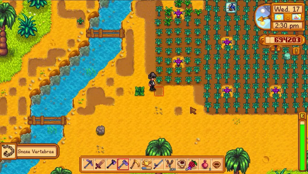 A screenshot of the player digging for Snake Vertebrae in Stardew Valley
