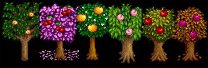 A screenshot of fruit trees in Stardew Valley