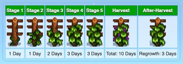 Grapes growing on a wooden trellis in Stardew Valley