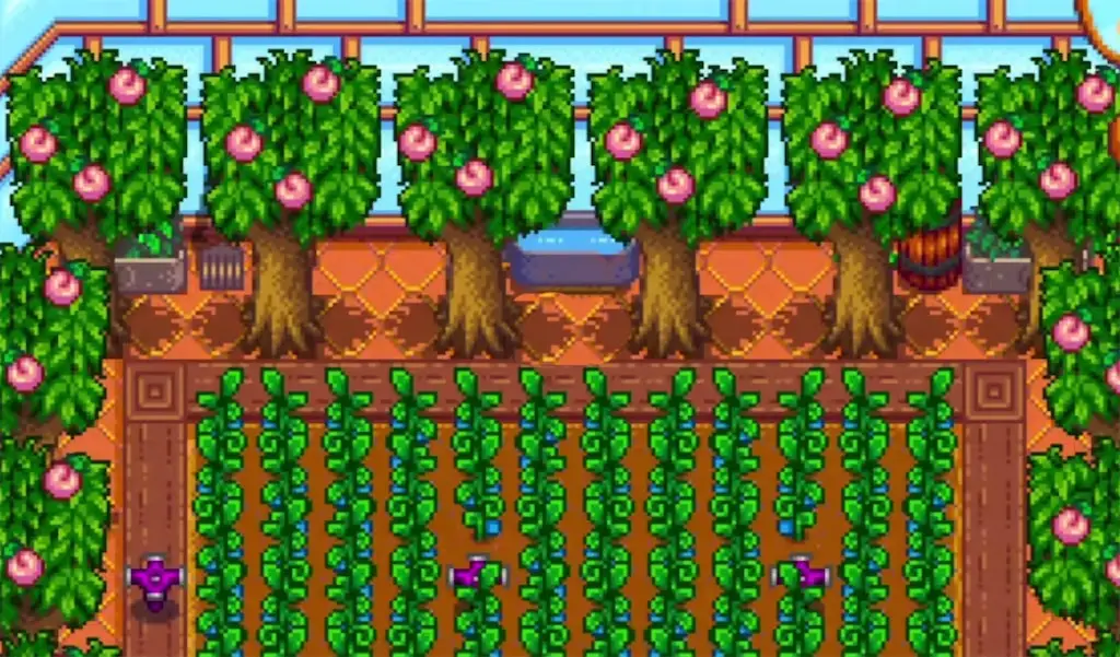 A screenshot of the greenhouse in Stardew Valley