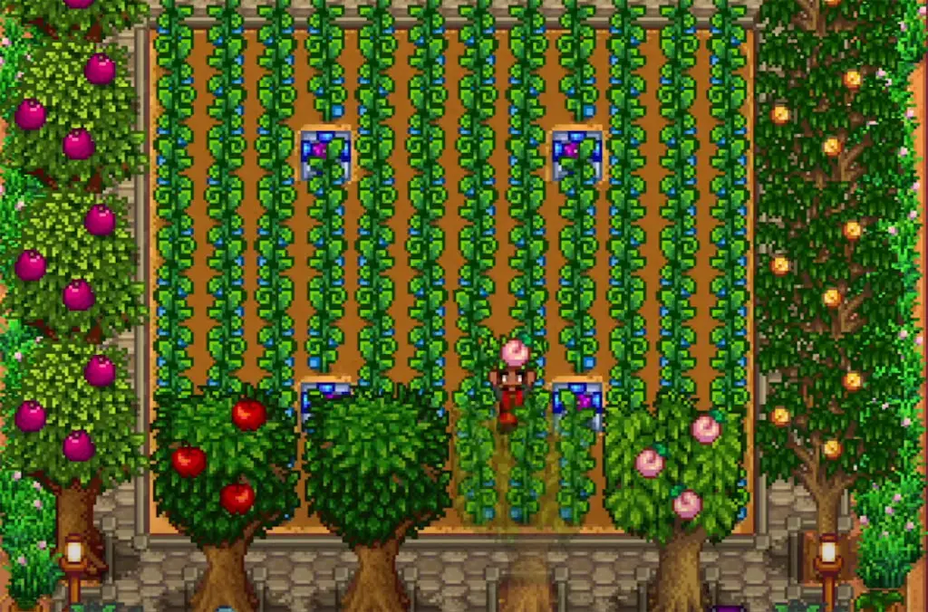 A screenshot of the greenhouse in the Wilderness Farm in Stardew Valley