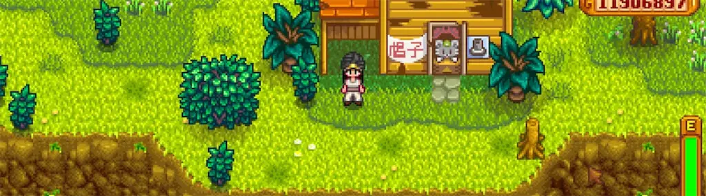A character wearing the Elegant Turban in Stardew Valley
