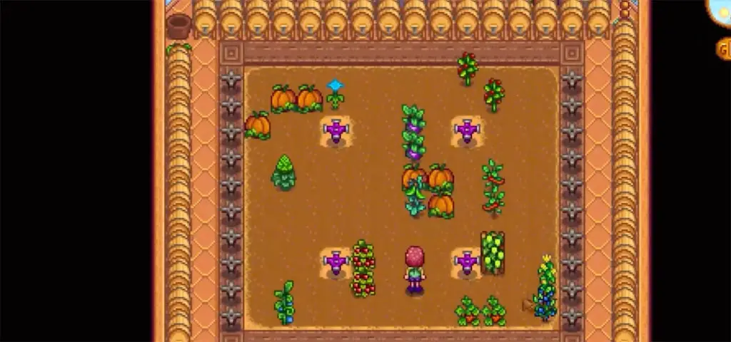 The greenhouse in Stardew Valley