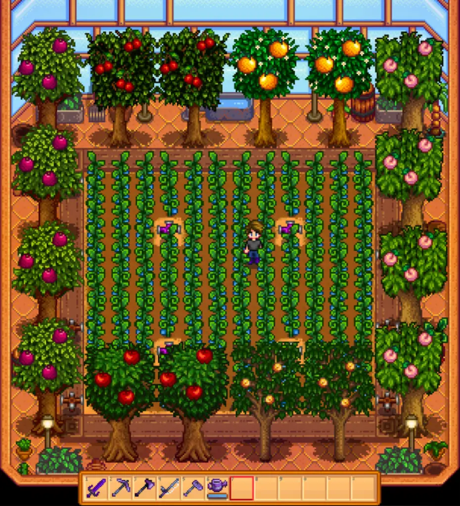 A screenshot of the inside of a greenhouse in Stardew Valley