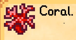 Coral in Stardew
