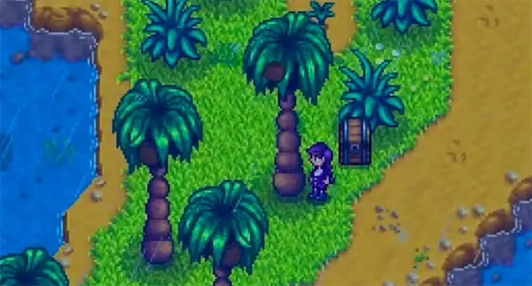 a player shaking a tree on Ginger Island