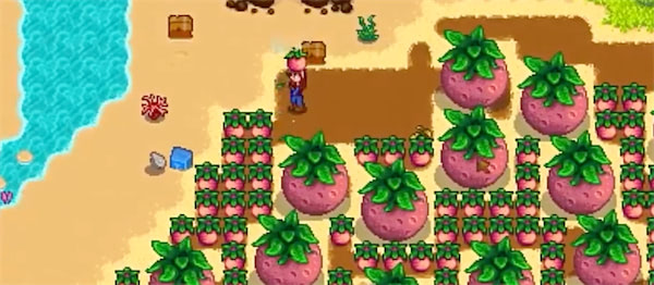 Melon plants growing in a Stardew Valley farm