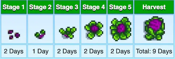 Unveiling the Secrets of Red Cabbage in Stardew Valley: A Comprehensive 