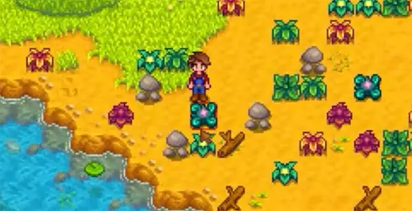 a player clearing weeds to find mixed seeds
