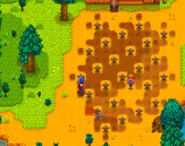 farm layout