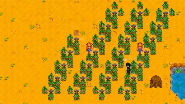 strawberry field in Stardew Valley